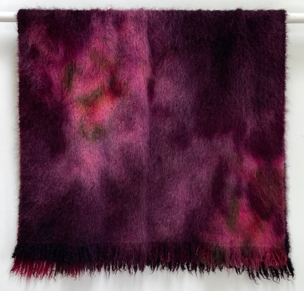 Lace Elderberry